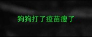 狗狗打了疫苗瘦了