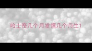 哈士奇几个月发情几个月生