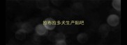 拉布拉多犬生产贴吧