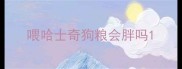 喂哈士奇狗粮会胖吗