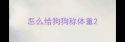 怎么给狗狗称体重