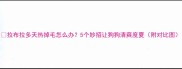 拉布拉多天热掉毛怎么办5个妙招让狗狗清爽度夏附对比图