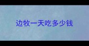 边牧一天吃多少钱