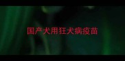 国产犬用狂犬病疫苗