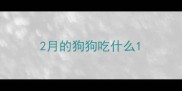 2月的狗狗吃什么