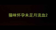 猫咪怀孕未足月流血