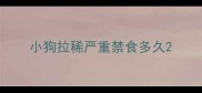 小狗拉稀严重禁食多久
