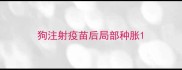 狗注射疫苗后局部种胀