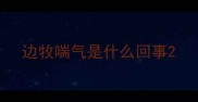 边牧喘气是什么回事