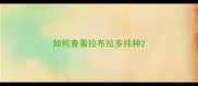 如何查看拉布拉多纯种