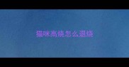 猫咪高烧怎么退烧