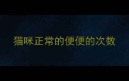 猫咪正常的便便的次数