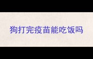 狗打完疫苗能吃饭吗