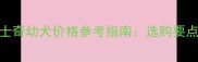 吉林地区哈士奇幼犬价格参考指南选购要点与饲养建议