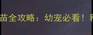 细小病毒疫苗全攻略幼宠必看科学防护指南