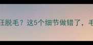 猫咪体外驱虫后疯狂脱毛这5个细节做错了毛孩子秒变秃头