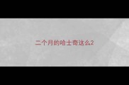 二个月的哈士奇这么