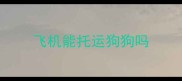 飞机能托运狗狗吗
