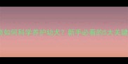 哈士奇如何科学养护幼犬新手必看的5大关键要点