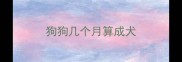狗狗几个月算成犬