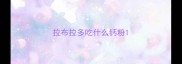 拉布拉多吃什么钙粉