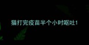 猫打完疫苗半个小时呕吐