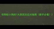 母狗咬小狗的7大原因及应对指南新手必看