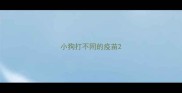 小狗打不同的疫苗