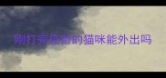刚打完疫苗的猫咪能外出吗
