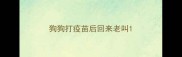狗狗打疫苗后回来老叫