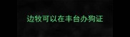 边牧可以在丰台办狗证