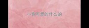 小狗可爱的什么的
