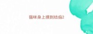 猫咪身上摸到结痂