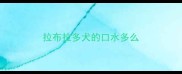 拉布拉多犬的口水多么