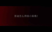 泰迪怎么得细小病毒