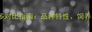 家养金毛和拉布拉多对比指南品种特性饲养技巧与选宠建议全