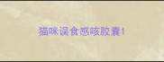 猫咪误食感咳胶囊