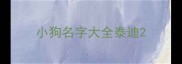 小狗名字大全泰迪