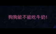 狗狗能不能吃牛奶
