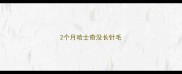 2个月哈士奇没长针毛