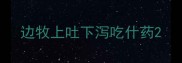 边牧上吐下泻吃什药