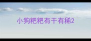 小狗粑粑有干有稀