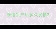 泰迪生产后多久发情