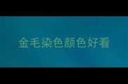 金毛染色颜色好看