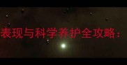 3个月大博美犬的性格表现与科学养护全攻略新手必看的成长指南