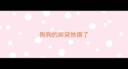 狗狗的脚突然瘸了