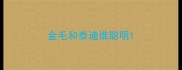 金毛和泰迪谁聪明