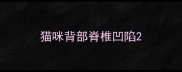 猫咪背部脊椎凹陷