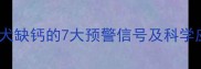 哈士奇幼犬缺钙的7大预警信号及科学应对指南