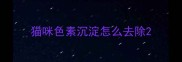 猫咪色素沉淀怎么去除